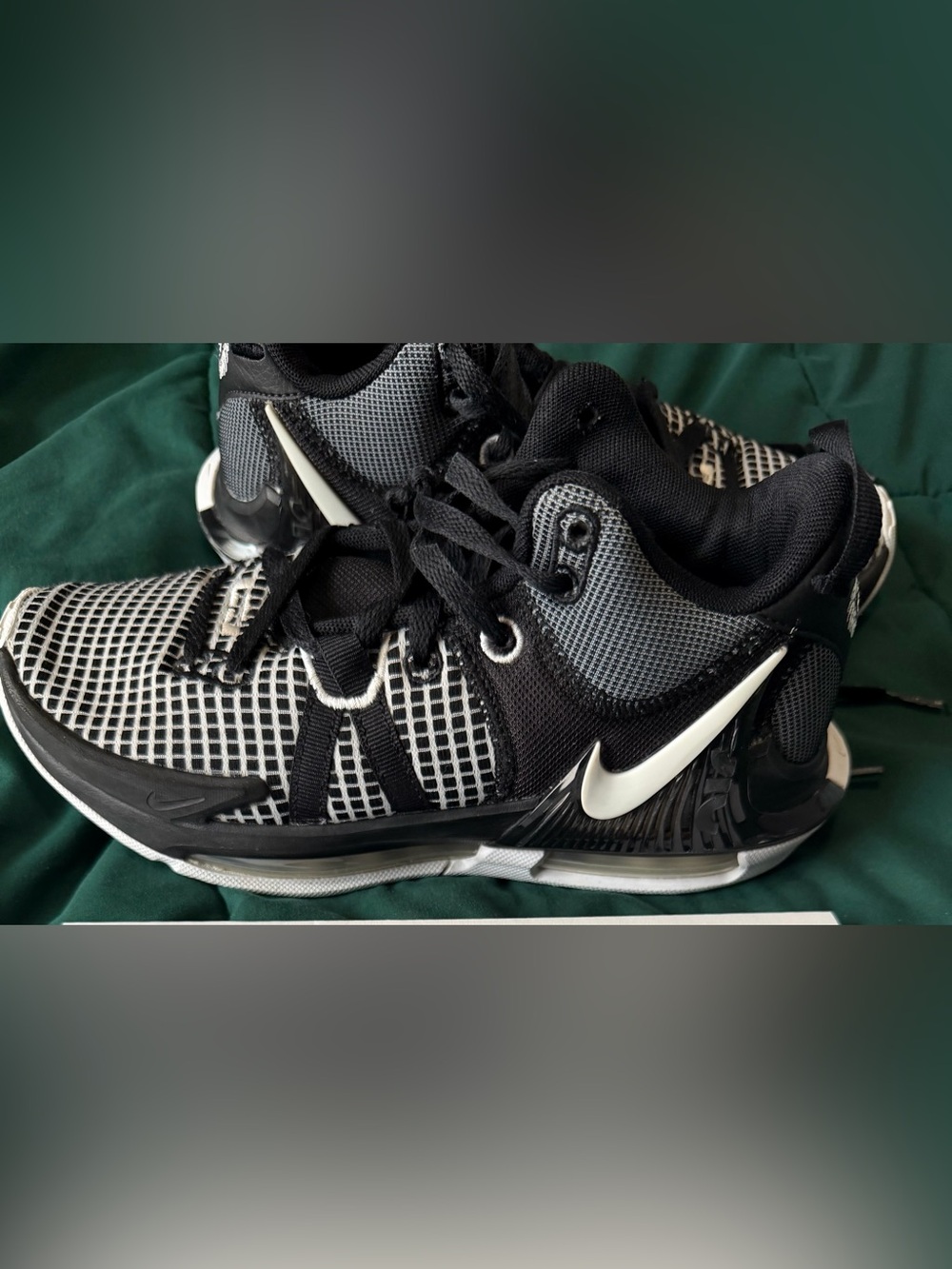Nike LeBron James Black & White Basketball Shoes